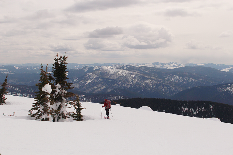 We still have a long haul ahead of us...