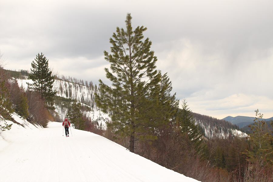 No skins needed but probably the most anticlimactic finish to a backcountry ski trip!