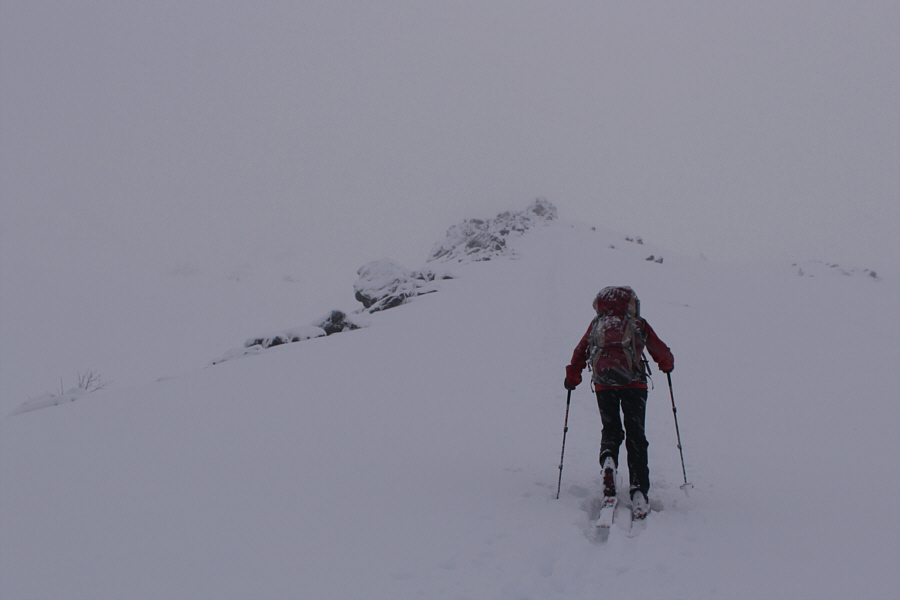 It would have been so easy to get off-track without the rocks!