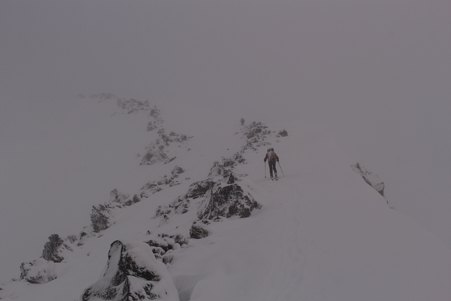 Thank goodness they know where they're going...I hope!