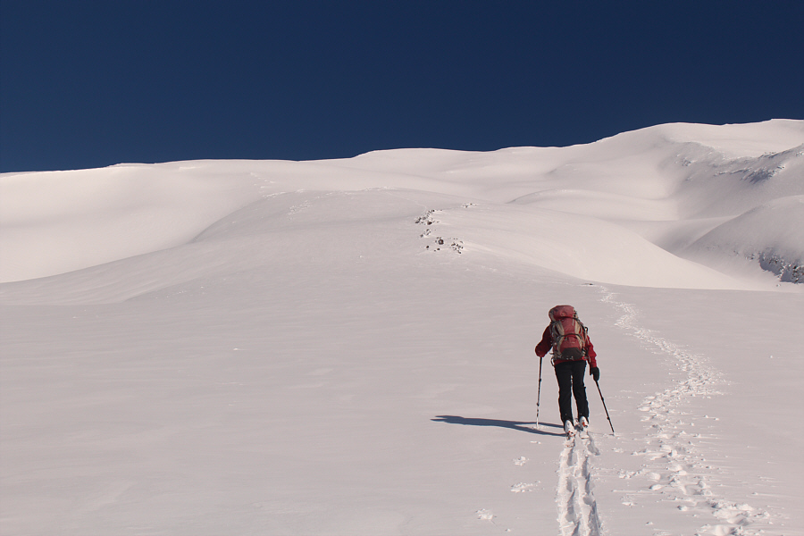 The weather was absolutely perfect--full sun, no wind!