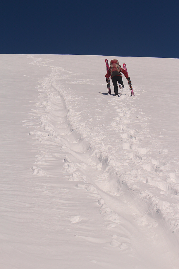 Thankfully, we had a broken trail to follow, but the snow wasn't too deep anyway.