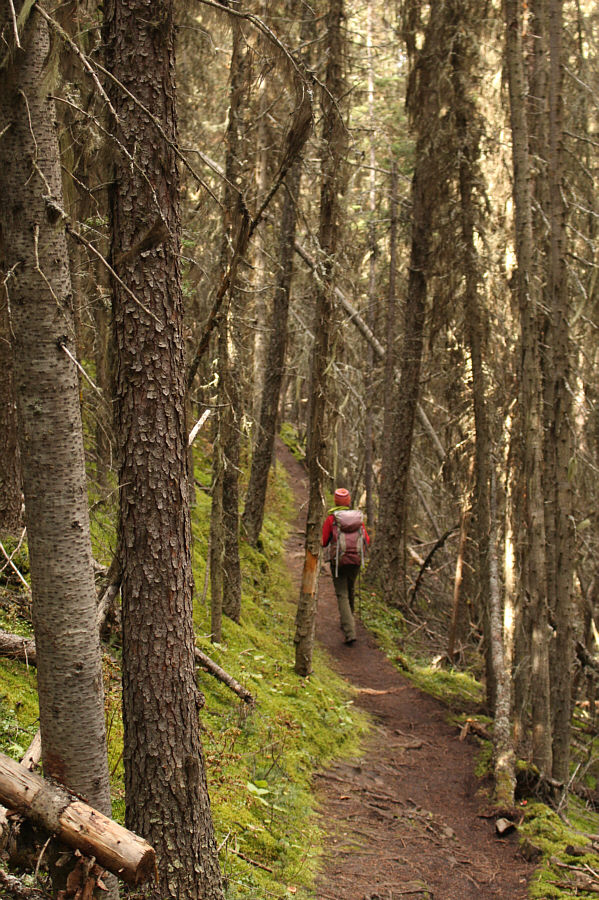 The scenery doesn't improve much on this half of the loop!