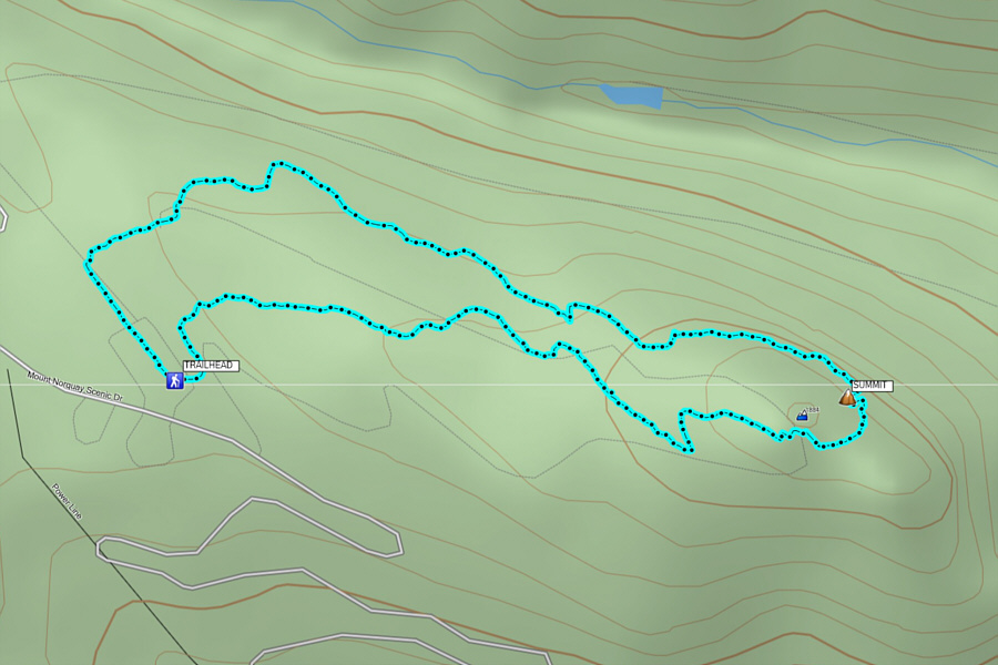 Better go soon before the view near the top disappears!