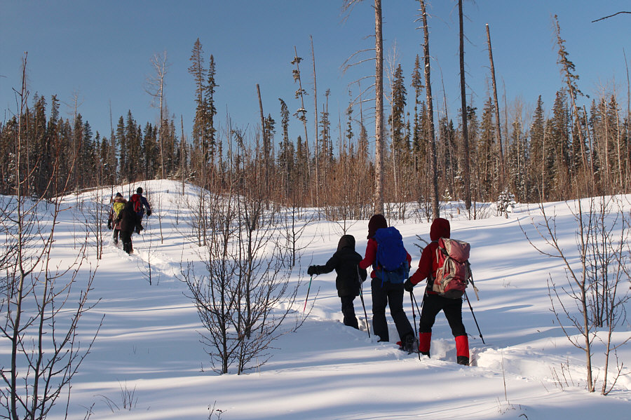 We should have just hung around here all day...