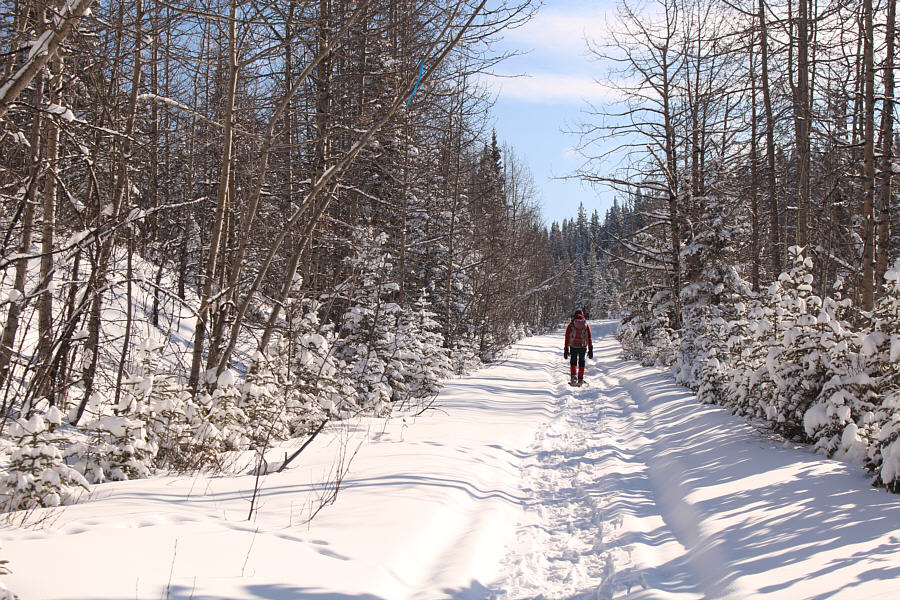 Wish I had my skis though...