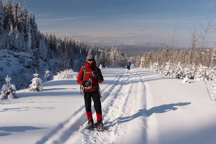 We later saw what looked like steam emanating from behind one of the trees above the ditch (the tree that is plastered with extra snow).