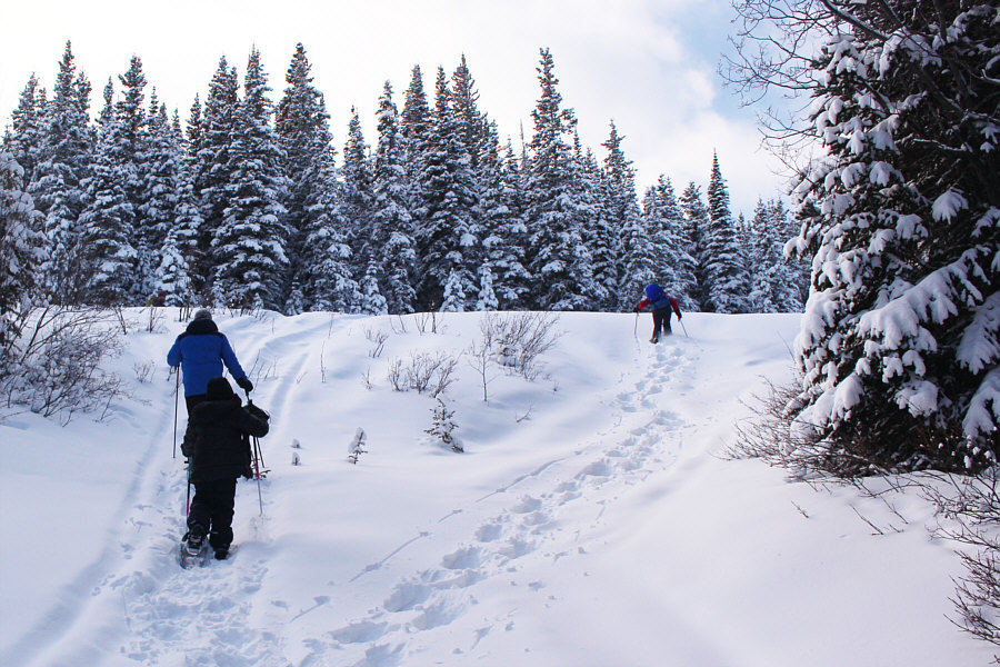 Unfortunately, we're going the wrong way here!