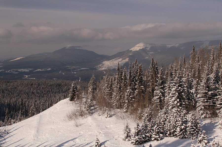 We should have just stopped on the open hillside here and called it a day!