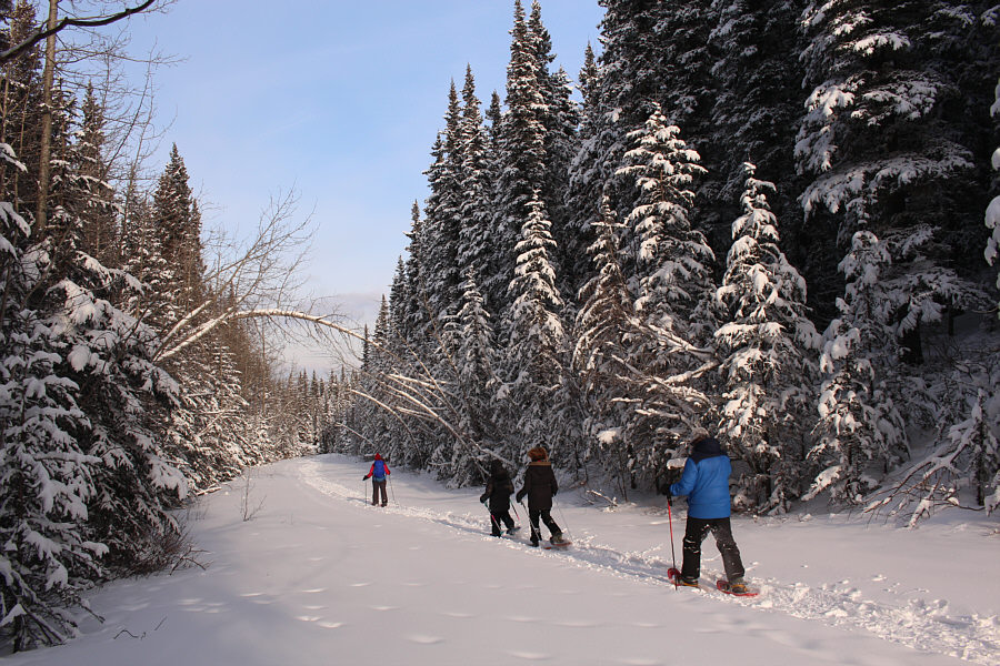 I sound like a broken record, but we should have been skiing here...