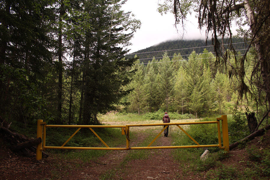 Beware of mosquitoes here!