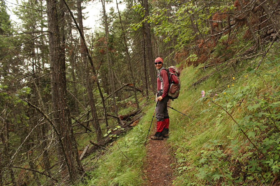 The next 800 metres of elevation gain is just like this...