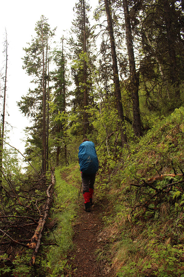 Good time for some deep thinking...