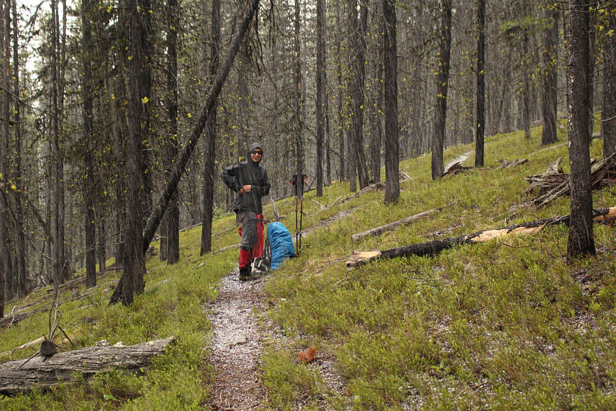 Graupel is still preferable to rain!