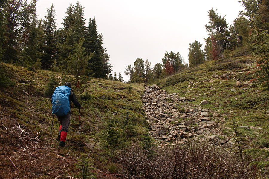 A good spot to leave the trail!