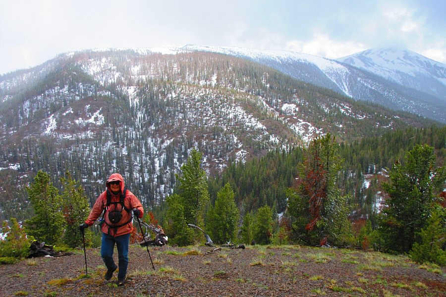 We'll come back for Goldie some other day...hopefully on skis!