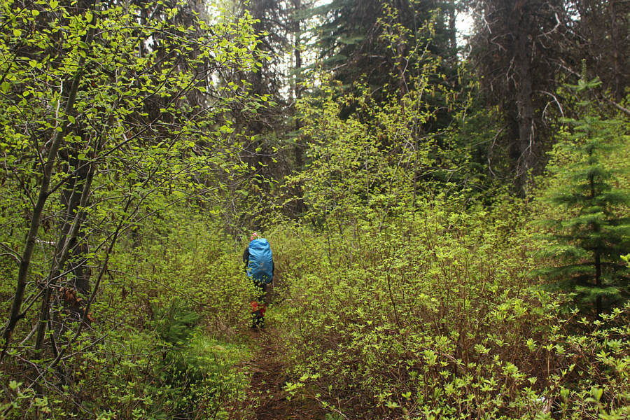 No worries; there is no bushwhacking needed to get to Castle Rock!