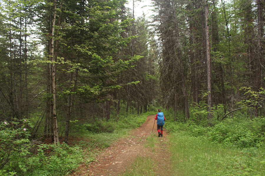 Good place to start thinking about what's for dinner!