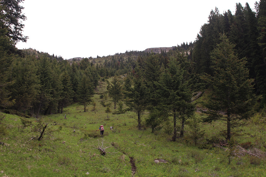 Still relentlessly steep!