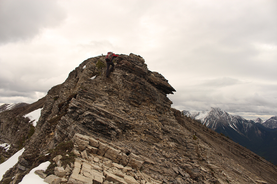 This is the fun part!