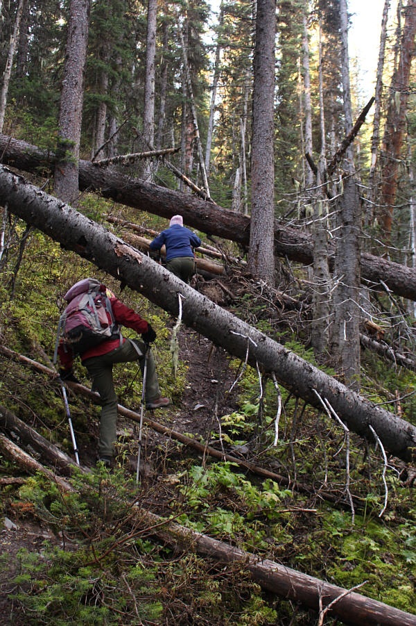 This is the worst of it...just enough to discourage the hordes of tourists that might flock here if they knew what they were missing!