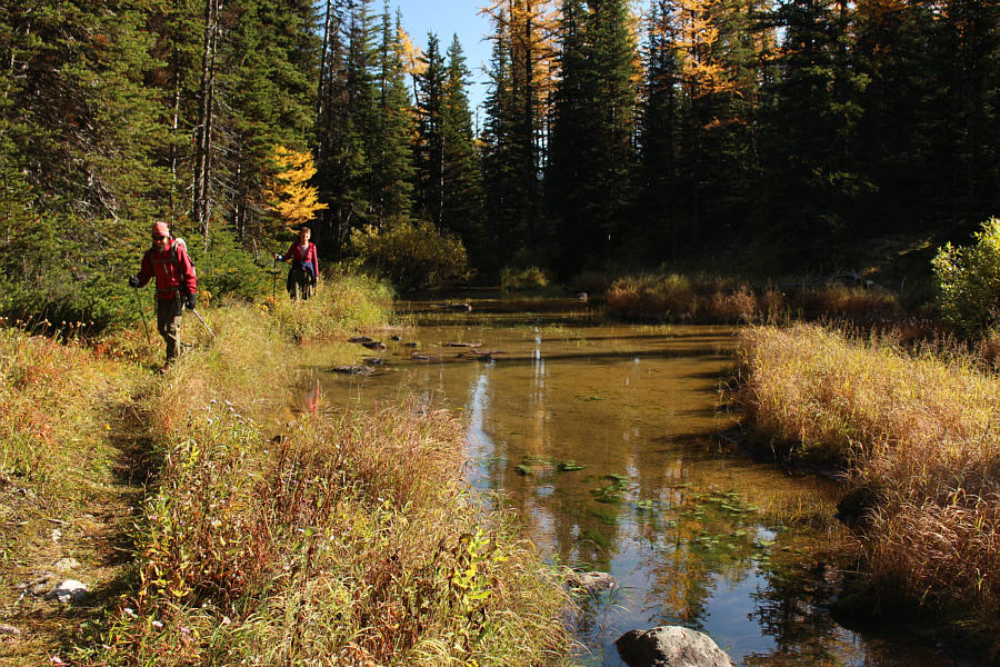 Most of the hard work is over already!