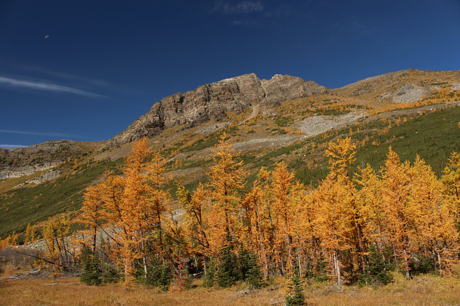 This would have been a great day to scramble up Little Temple!