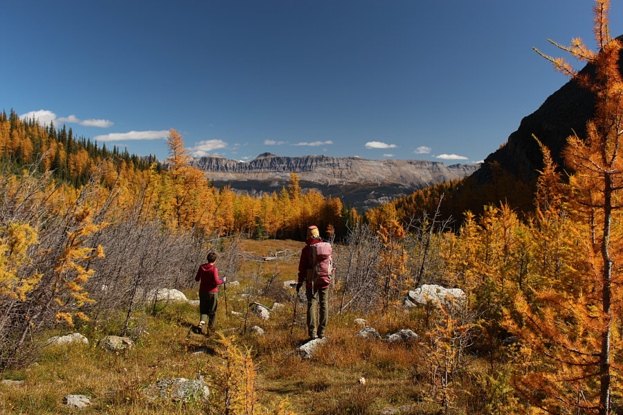 Goodbye! Come again!