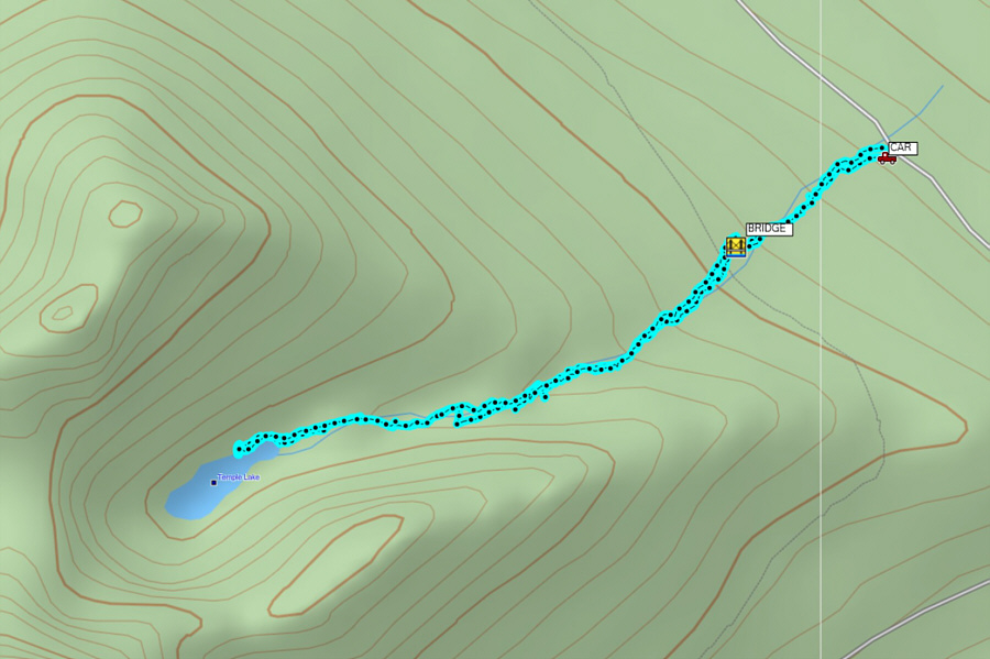 Might make this an annual pilgrimage...