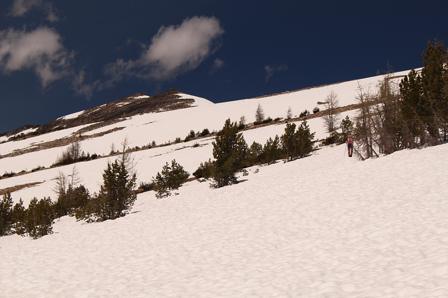 We should have brought our skis!