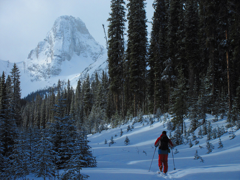 I got chased by a moose here once...