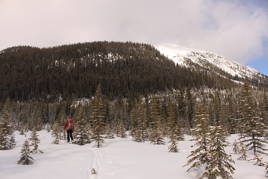 It doesn't look promising at this point, but have faith. This is the best route for getting into Tryst Lake.