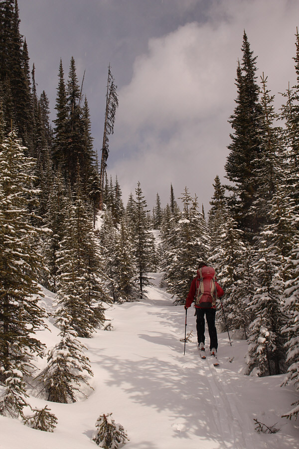 Still on the right track!