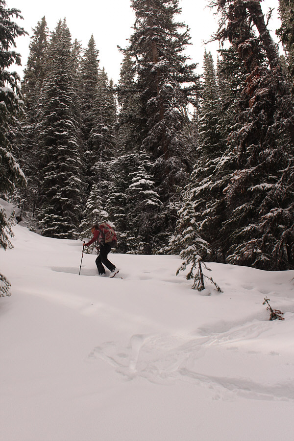 Zosia is a climbing machine!