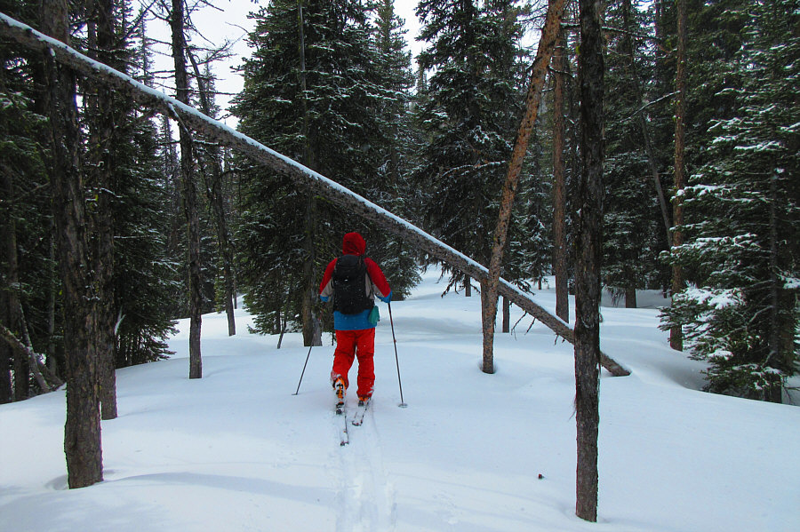 Okay, we're not gonna find the lake up here!