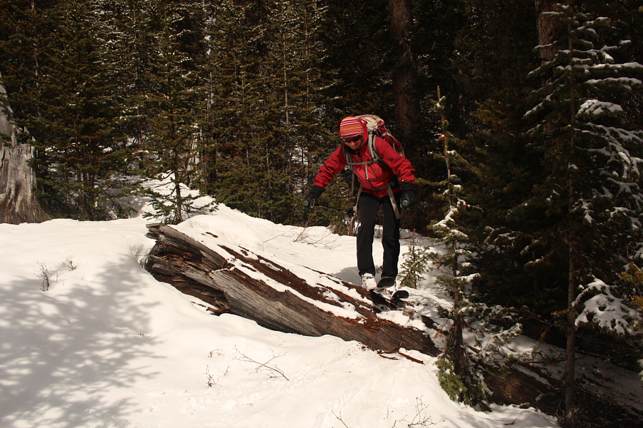 Backcountry terrain park?