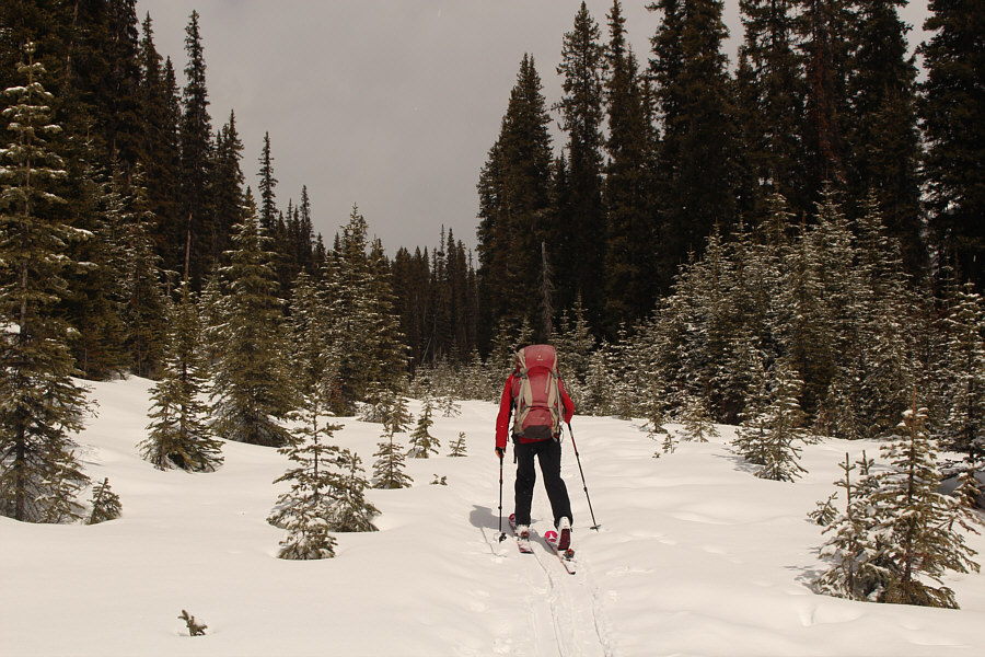 Okay, you can relax now!