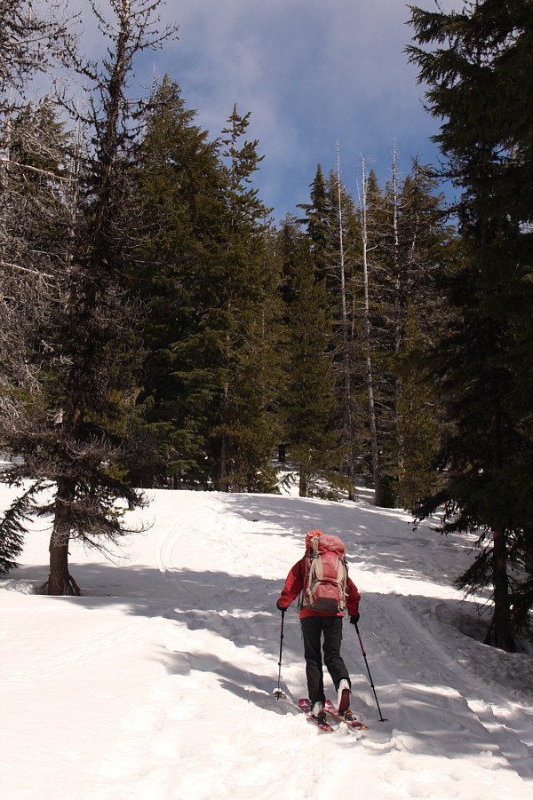 Much easier than the designated uphill route at Mount Bachelor Ski Resort!