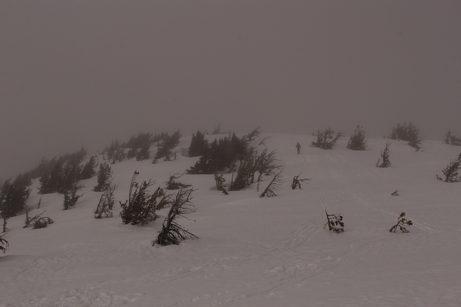 Oh well, better to have cloud cover here than at the summit of Mount Bachelor, I suppose...