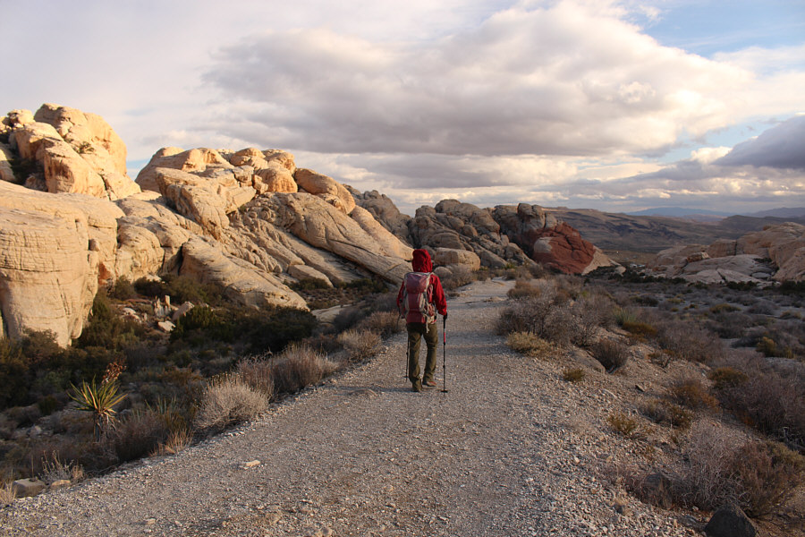 I think we'll make it out of the park before they close!