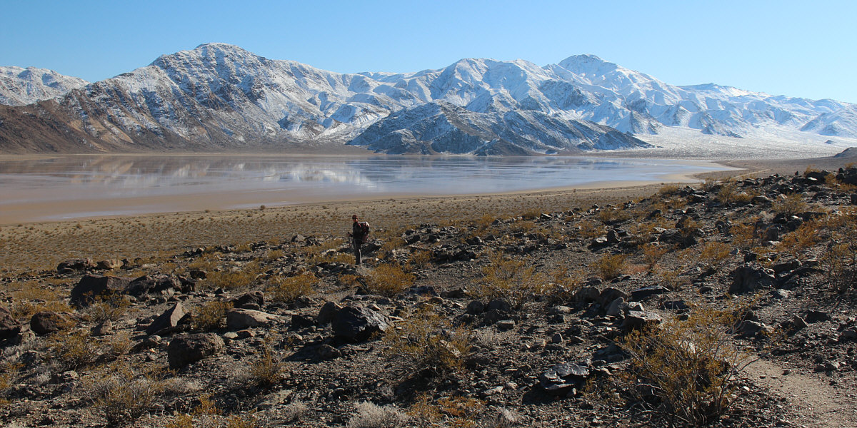 Let's go to the beach!