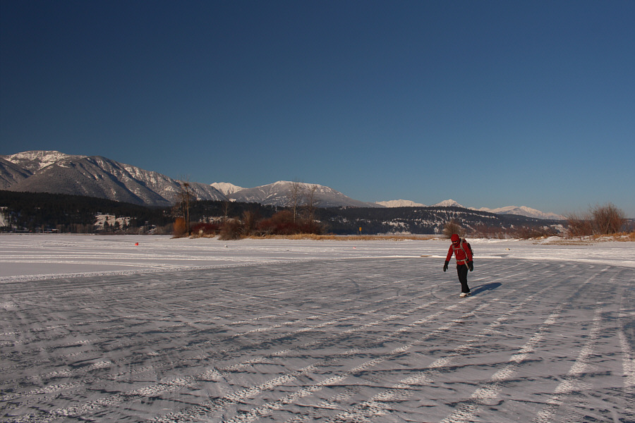 The good ol' hockey game!