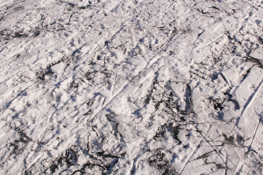 Yeah, I'm not paying 5 bucks to skate on this crap!