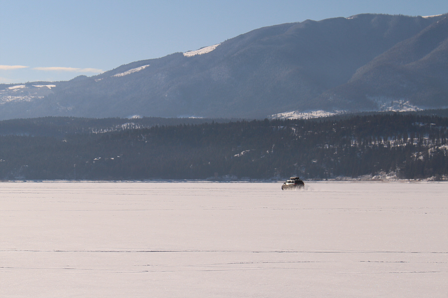 Looks like more fun than skating!