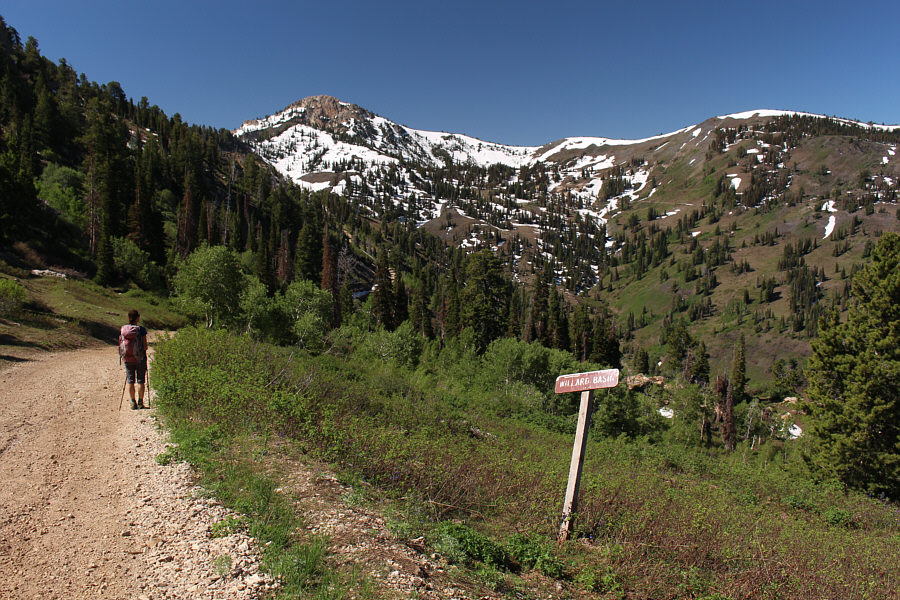 What's the name of this place again??