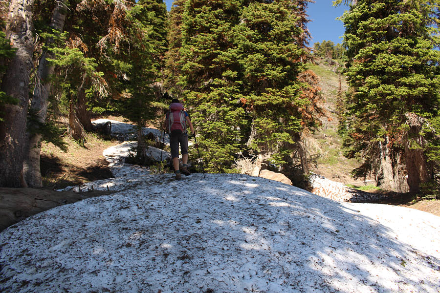 The short cut saves a little over a kilometre of extra walking to get to the top.