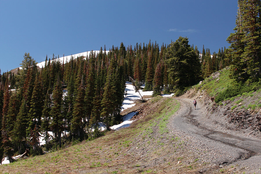 The top is still a bit further away than it looks!