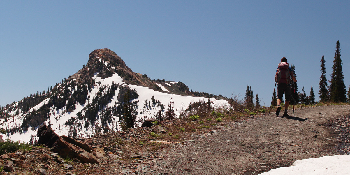 There's the real prize!