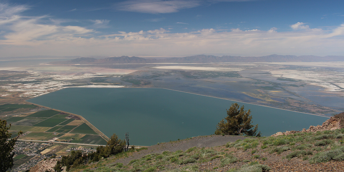 The first time Zosia and I visited the shores of Willard Bay, we thought it was the Great Salt Lake.