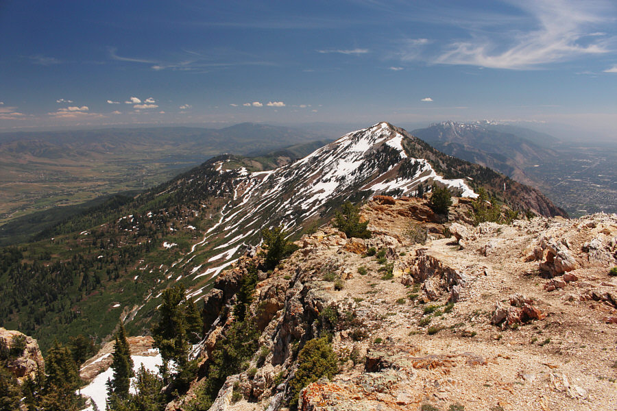 I would have been quite content to leave this one for another day, but...